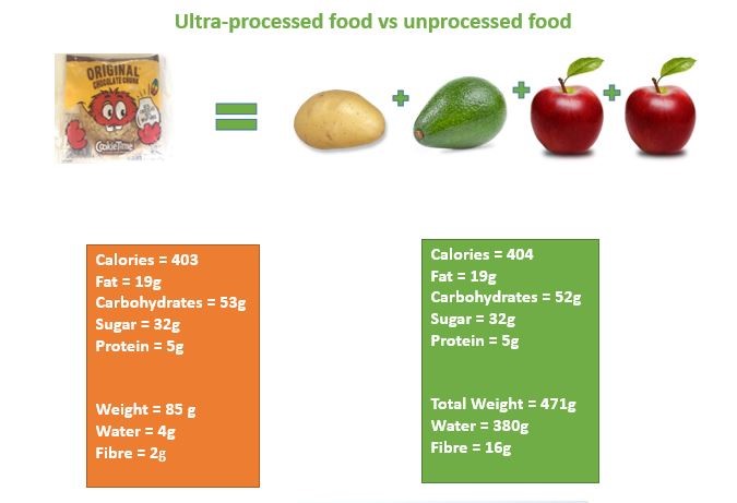 the-cookie-how-exactly-does-it-contribute-to-overeating-and-obesity